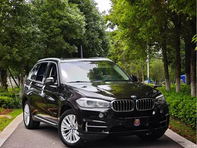 2017 BMW X5 (Import) xDrive28i, фото 3, лот 10422722