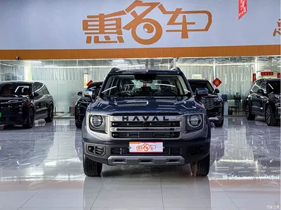 2024 Haval Big Dog Model 1.5T DCT Labrador Edition, фото 3, лот 10361673