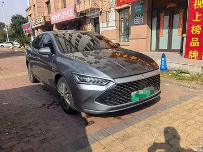 2021 BYD Qin PLUS DM-i 120KM Premium, фото 1, лот 11067678