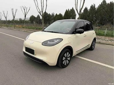 2025 Wuling Motors Wuling Bingo Model 333km Joy Edition, фото 2, лот 10367387