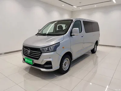 2023 Foton Fengjing G5 2.0L Gasoline Commercial Transport Version Clear Window 5/6-seater DAN20L, фото 1, лот 11144648