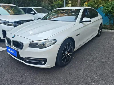 2017 BMW 5 Series 520Li Classic Edition, фото 1, лот 10482555