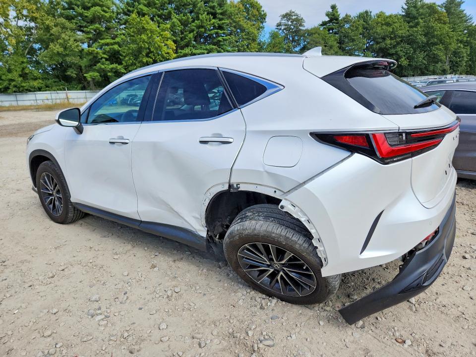 2022 LEXUS NX 350, фото 2, лот 11184463