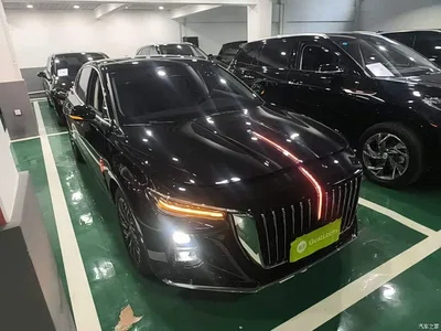 2025 Hongqi H5 2.0T Automatic Flag Celebration 500,000 Units Anniversary Edition, фото 4, лот 11438875