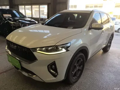2019 Haval F7 1.5T 2WD i-Style China VI, фото 2, лот 10390643