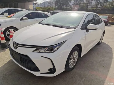 2023 Toyota Corolla 1.2T Pioneer Edition, фото 1, лот 10320968