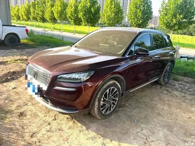 2021 Lincoln Adventurer 2.0T 2WD Exclusive Edition, фото 1, лот 10357604