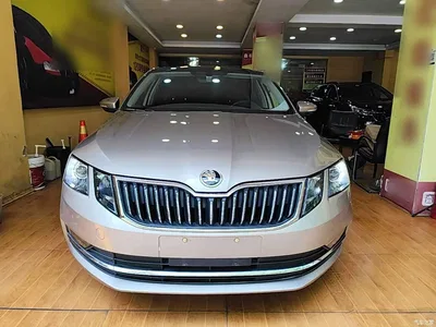2019 Škoda Octavia 1.5L Automatic Smart Luxury China VI, фото 3, лот 10348145
