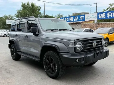 2021 Tank 300 Off-road Version 2.0T Conqueror, фото 3, лот 10345153