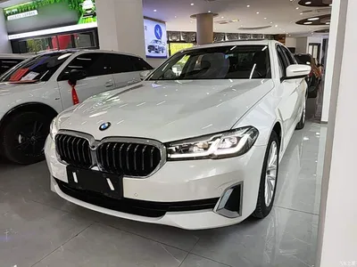 2021 BMW 5 Series 525Li Luxury Package, фото 2, лот 11067683