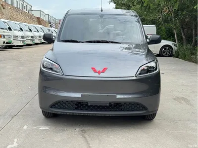 2024 Wuling Motors Wuling Hongguang New Energy Pure Electric 300KM Standard, фото 3, лот 11167443