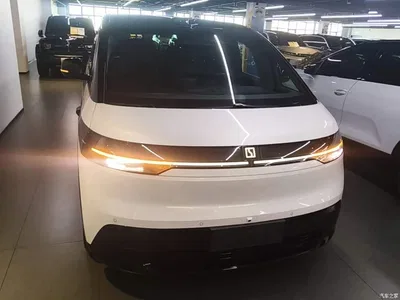 2025 ZEEKR MIX Smart Driving Edition, фото 3, лот 10291859