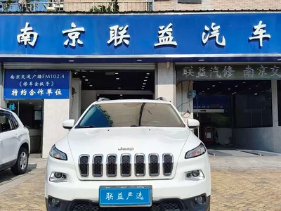 2016 Jeep Cherokee 2.4L Leading Edition, фото 3, лот 10419788