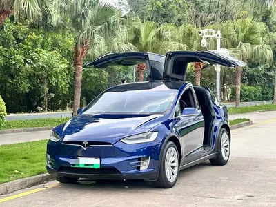 2019 Tesla Model X Long Range Version, фото 1, лот 10353631