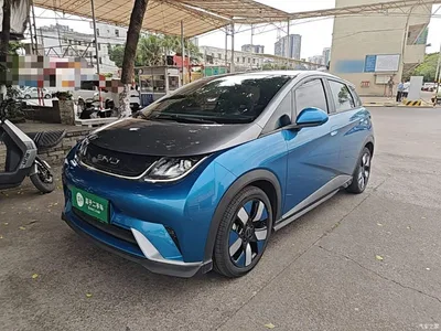 2021 BYD Dolphin 401km Knight Edition, фото 2, лот 10331699