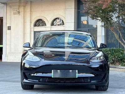 2022 Tesla Model 3 Model Rear-Wheel Drive Version, фото 2, лот 10894333