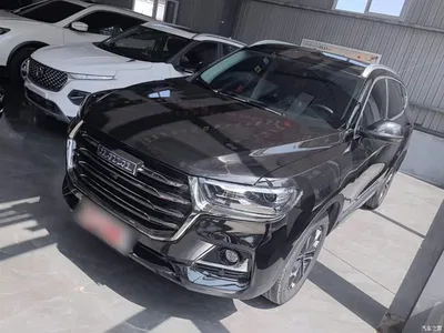 2021 Haval H6 National Trend Edition 1.5T Automatic Urban Edition, фото 1, лот 10287109