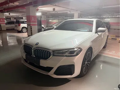2022 BMW 5 Series 530Li Leading M Sport Package, фото 1, лот 11240941