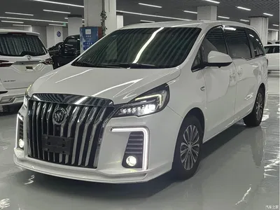 2021 Buick GL8 Land Business Class 652T Comfort, фото 1, лот 10253642