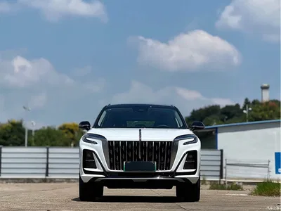 2025 Hongqi HS3 PHEV 125km Jingwei PLUS 2 Million Commemorative Edition, фото 3, лот 10287056