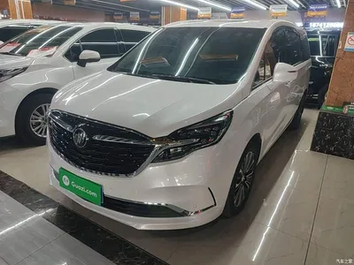 2022 Buick GL8 ES Landmark 653T Luxury, фото 2, лот 11067153