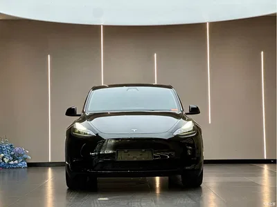 2022 Tesla Model Y Facelift Rear-Wheel Drive Version, фото 2, лот 10397137