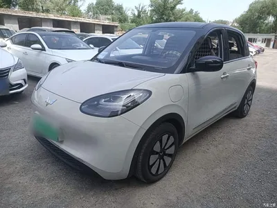 2024 Wuling Motors Wuling Bingo 333km Comfort Edition, фото 2, лот 10371850