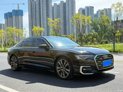 2023 Audi A6L 40 TFSI Luxury Dynamic, фото 3, лот 10621544