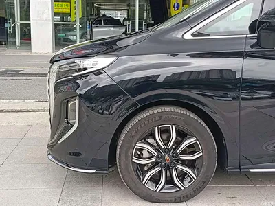 2023 Hongqi HQ9 2.0T Smart Connect Flag Enjoy Edition, фото 4, лот 10288249