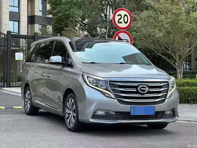 2018 GAC Trumpchi Trumpchi M8 320T Premium Edition, фото 3, лот 11139278