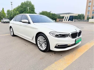 2019 BMW 5 Series New Energy 530Le Luxury Package, фото 3, лот 11087487
