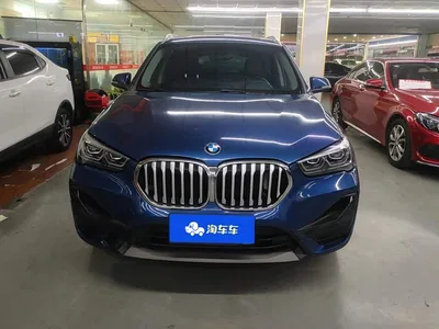 2020 BMW X1 sDrive20Li Premium Edition, фото 2, лот 10465557