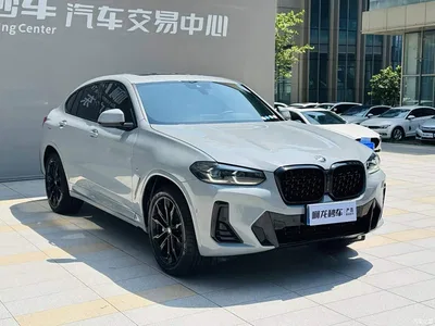 2022 BMW X4 xDrive 30i M Sport Blackout Package, фото 3, лот 10405887