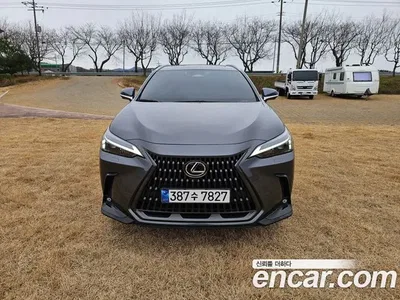 2024 Lexus NX 450h+ Premium, фото 2, лот 10033927