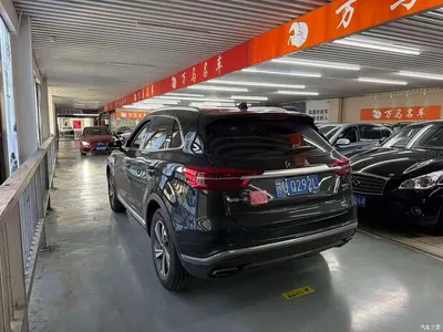 2019 Hongqi HS5 2.0T Smart Connect Enjoy Edition, фото 4, лот 11583557