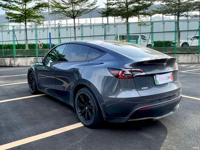2022 Tesla Model Y Rear-Wheel Drive Version, фото 4, лот 11579542