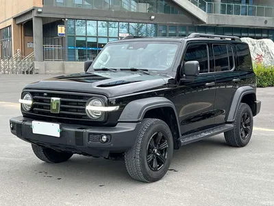 2024 Tank 300 Model 2.0T Challenger, фото 1, лот 10445687