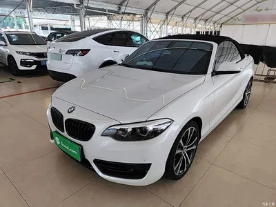 2019 BMW 2 Series (Import) 225i Convertible Coupe Sport Design Package, фото 1, лот 11468497