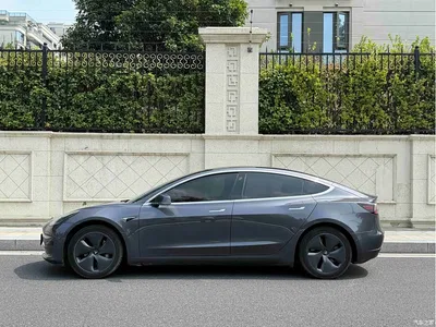 2020 Tesla Model 3 Standard Range Rear-Wheel Drive Upgrade, фото 3, лот 11197638