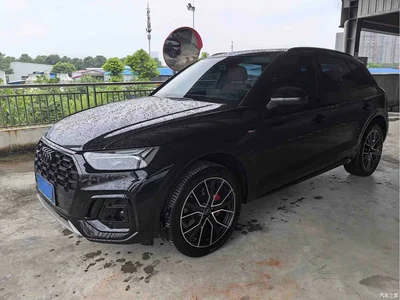 2025 Audi Q5L 40 TFSI Luxury Dynamic, фото 1, лот 10236104