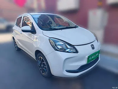 2021 Changan Benben E-Star National Edition Colorful Version LFP (31.86kWh), фото 3, лот 11582577