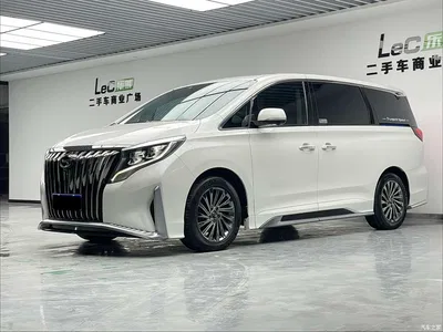 2021 GAC Trumpchi Trumpchi M8 Master Series 390T Ultimate Edition, фото 1, лот 10419488
