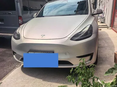 2023 Tesla Model Y Rear-Wheel Drive Edition, фото 1, лот 10401877