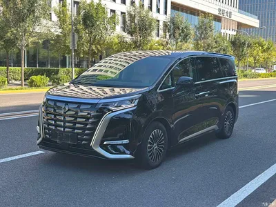 2024 Denza D9 DM-i 980 AWD Prestige, фото 1, лот 10355272