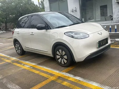 2024 Wuling Motors Wuling Bingo 333km Comfort Edition, фото 3, лот 10367512