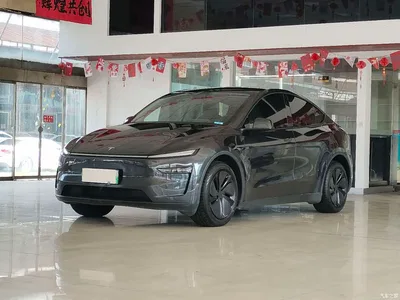2025 Tesla Model Y Rear-Wheel Drive, фото 1, лот 11179520