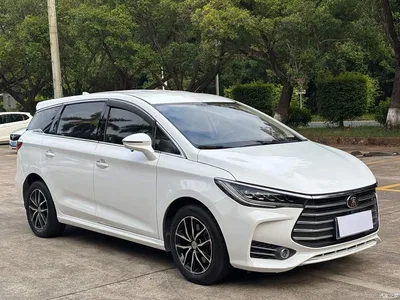 2018 BYD Song MAX 1.5T Auto Smart Connected Luxury 6-Seater, фото 3, лот 11587787