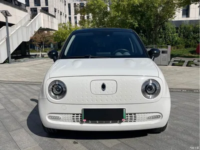 2021 Ora Black Cat 351km Luxury Model, фото 2, лот 11565392