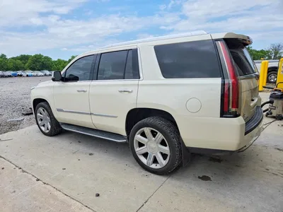 2015 CADILLAC ESCALADE LUXURY, фото 2, лот 10864348