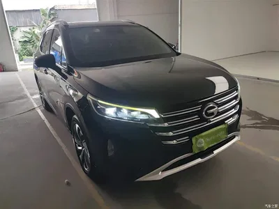 2020 GAC Trumpchi Trumpchi GS4 270T Automatic Smart Connect Tech Version, фото 4, лот 10426189